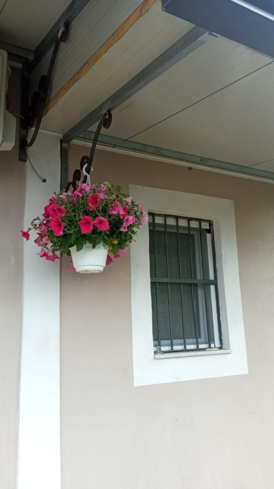 A Casa Di Nonna Anna *
